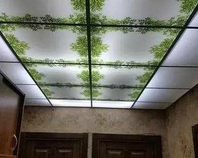 фото Навесные потолки Амстронг