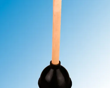 фото Вантуз с деревянной ручкой