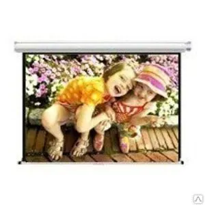 фото Экран Accuscreen Electric NTSC (3:4) 254/8' (60x80") 152*203 MW