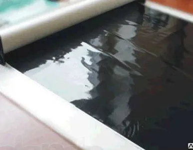 фото Съемная силиконовая тонировка на статике.