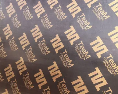 фото Фанера ламинированная TEAM (2440х1220х18мм)