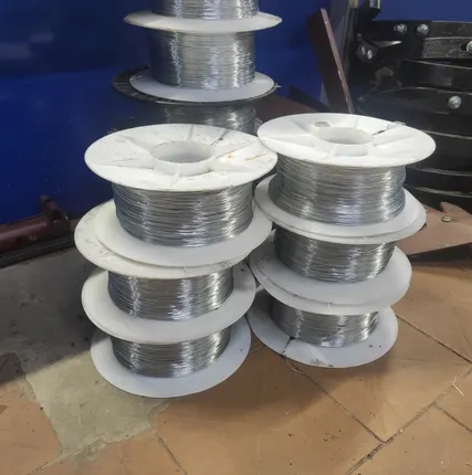 Фото №0 Проволока для электропастуха 1000 м, оцинкованная.