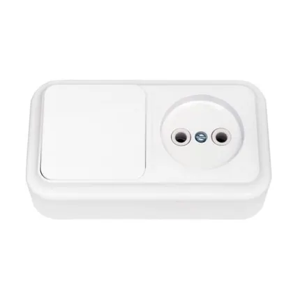 Фото №0 СВЕТОПРИБОР Блок Пралеска 1 клав.выкл+розетка б/з ОУ белый 250В В-РЦ-521 СВЕТОПРИБОР