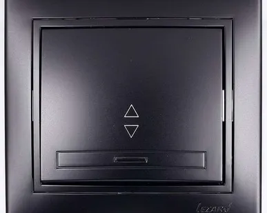 фото Выключатель проходной 1-кл. 1п СП Мира 10А IP20 со вставкой черн. бархат LEZARD 701-4242-105