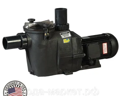 фото Насос Hayward RS II RS30111 (220V, 1HP)