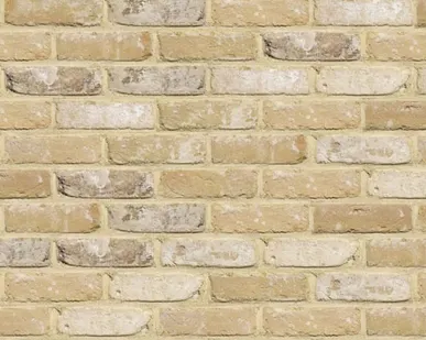 фото Кирпич облицовочный Terca Oud Damme, 215*102*65 мм