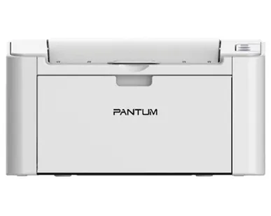 фото Принтер Pantum P2200