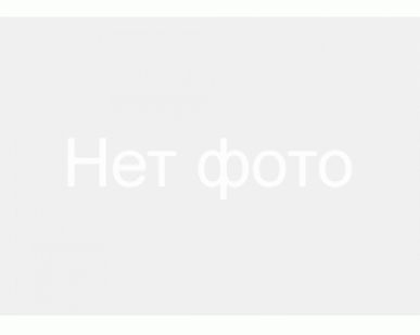 фото D15 Начальная коньковая черепица Nelskamp