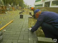 Фото №0 Укладка плитки тротуарной