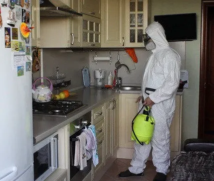 Фото №0 Уничтожение мышей и крыс в квартире