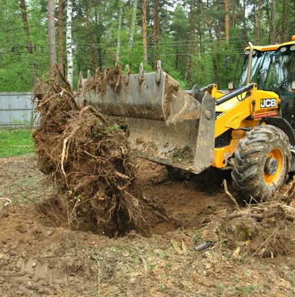 Фото №0 Выравнивание верхнего слоя почвы с травой и деревьями