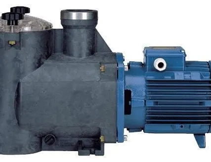 Фото №0 Самовсасывающие насосы для бассейнов с фильтром Calpeda MPCM-7_220В