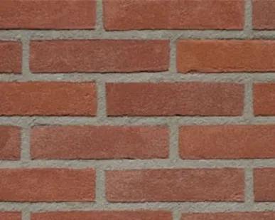 фото Кирпич облицовочный Terca Rood Grijs Hardgrauw Vormbak, 210*100*50 мм