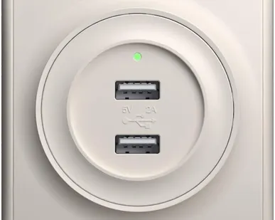 фото Розетка USB 2-м СП Florence 16А IP20 с подсветкой механизм беж. 1E10351301 OneKeyElectro 2260090