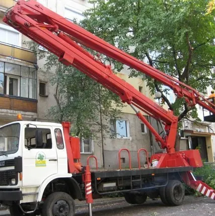 Фото №0 Спил деревьев