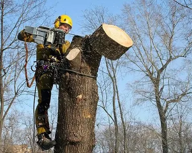 фото Вырубка деревьев и кустарников 89041073423