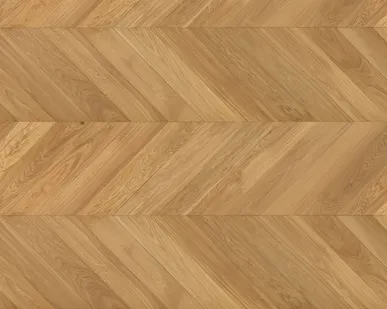 фото Французкая елка Pure сорт Селект 16/4 100х600-2400