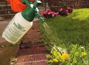 фото Протравливание сорняков