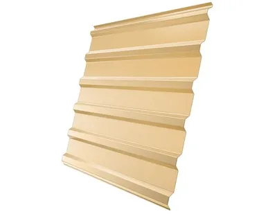 фото Профнастил С20R 0,4 PE RAL 1014 слоновая кость