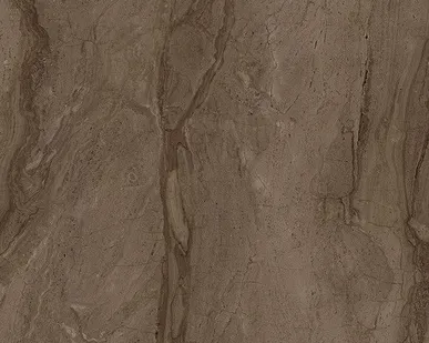 фото Керамический гранит COLISEUM Венеция 450x450 коричневый Ret Lap