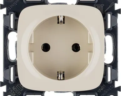фото Розетка 1-м СП Valena Allure 16А IP2X 250В 2P+E безвинт. клеммы с лицев. панелью механизм сл. кость Leg 753821
