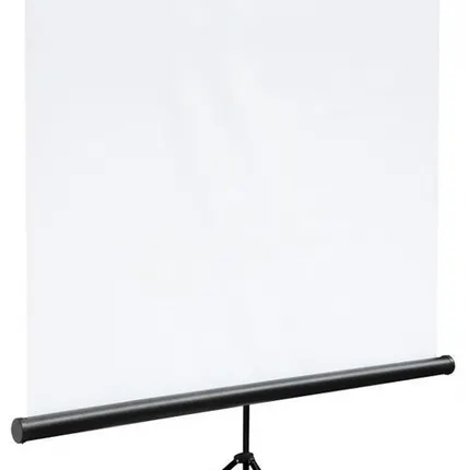 Фото №0 Экран на штативе Digis DSKC-1102 (Kontur-С, формат 1:1, 100", 180*180, MW).