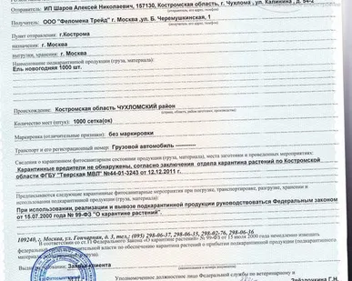 фото Сертификация