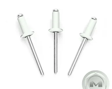 фото Заклепки вытяжные 3,2*8мм RAL9003 Белый