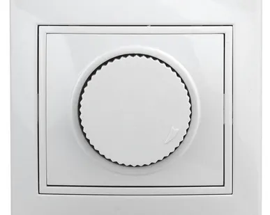 фото Светорегулятор СП Plano 1-401-01 поворотный 600Вт 230В IP20 бел. Intro Б0027623
