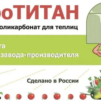 Фото №0 Поликарбонат сотовый 3 мм прозрачный | листы 6 и 12 м | АгроТИТАН