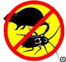 фото Грызуны казань