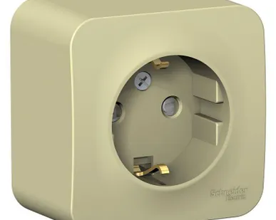 фото Розетка 1-м ОП BLANCA 16А 250В защ. шторки с заземл. изол. пласт. беж. SchE BLNRA011117