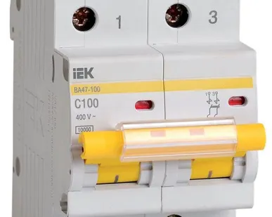 фото Выключатель автоматический модульный 2п C 100А 10кА ВА47-100 IEK MVA40-2-100-C