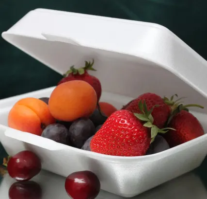 Фото №0 Линия по производству лотков, ланч-боксов из вспененного полистирола в Москве