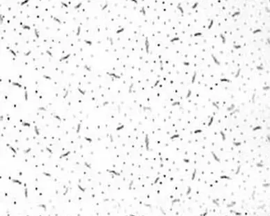 фото Плита потолочная "Тренто" минерально-волоконная (0.36м2) 600х600х13