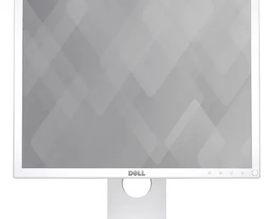 фото Монитор DELL P1917SWh