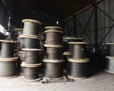 фото Канат 19.5 мм ГОСТ 2688-80