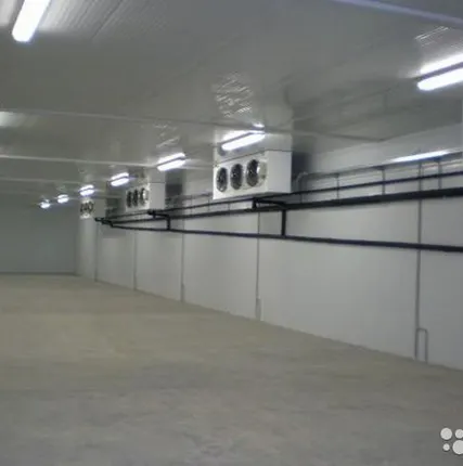 Фото №0 Холодильные склады под ключ