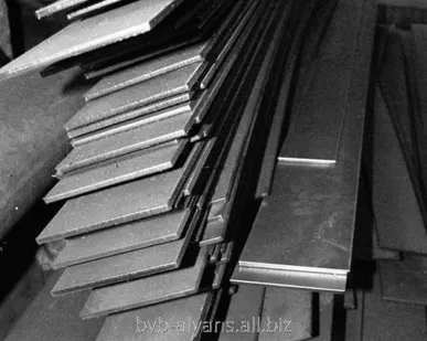 фото Шина (полоса) титановая ВТ9