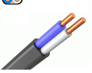 фото Кабель ВВГ-Пнг 2х4 Кабэкс