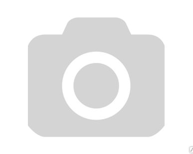 фото Топор плотницкий 1000g, 45 см 08714-20.000.00