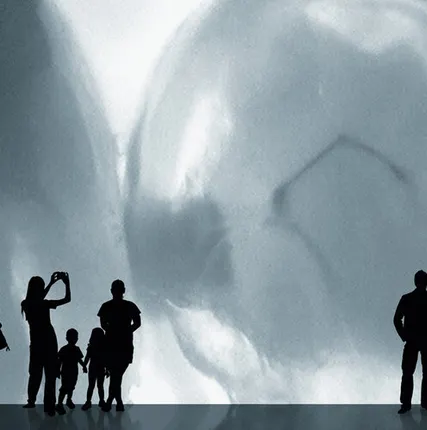 Фото №0 Полная визуализация диагностики KaVo DIAGNOcam бесплатно