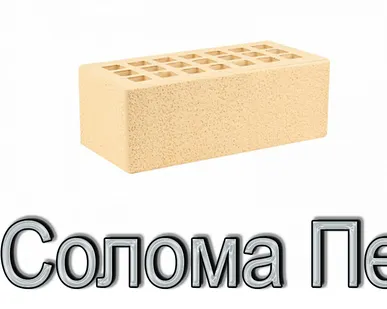 фото Кирпич КР-л-пу 250х120х88/1,4НФ/200/1,4/100 200 соломенный Пена