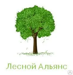 фото Глина каолиновая Терракот 20 кг 20 кг