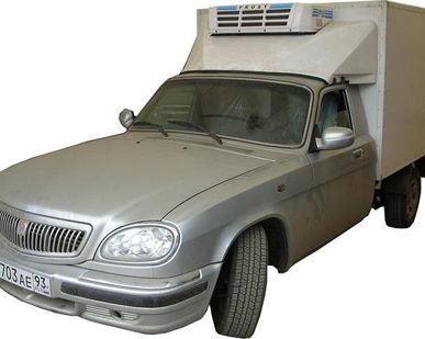 фото Авторефрижератор FROST F10-mini