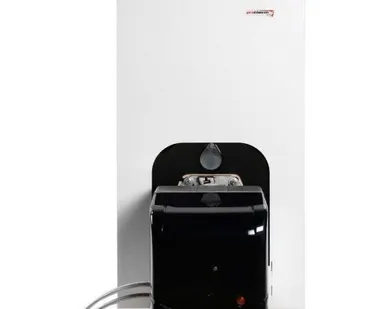 фото Напольный чугунный котёл Protherm Бизон 40 NL Protherm