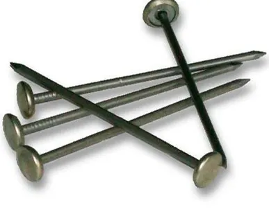 фото Гвоздь шиферный 5*120 (1 кг) 46шт