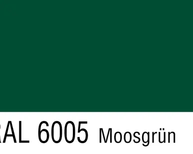 фото Саморезы 5,5х19 RAL6005 (250 шт)