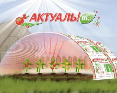 фото Сотовый поликарбонат 2100х12000х10мм (прозрачный) АктуальBIO СафПласт 1,27кг/м2