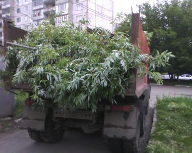 фото Вывоз строительного мусора,  веток, литвы самосвалом КАМАЗ